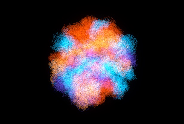 3D genome visualization