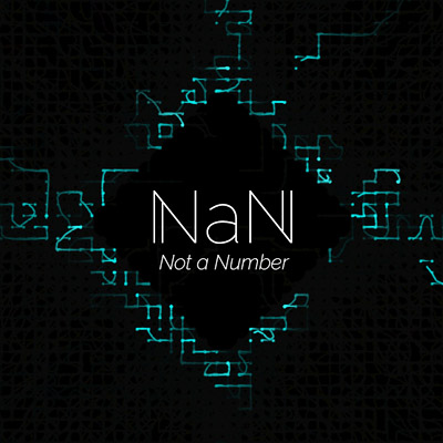 NaN, Not a Number